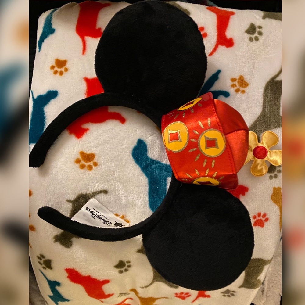 Minnie Ears